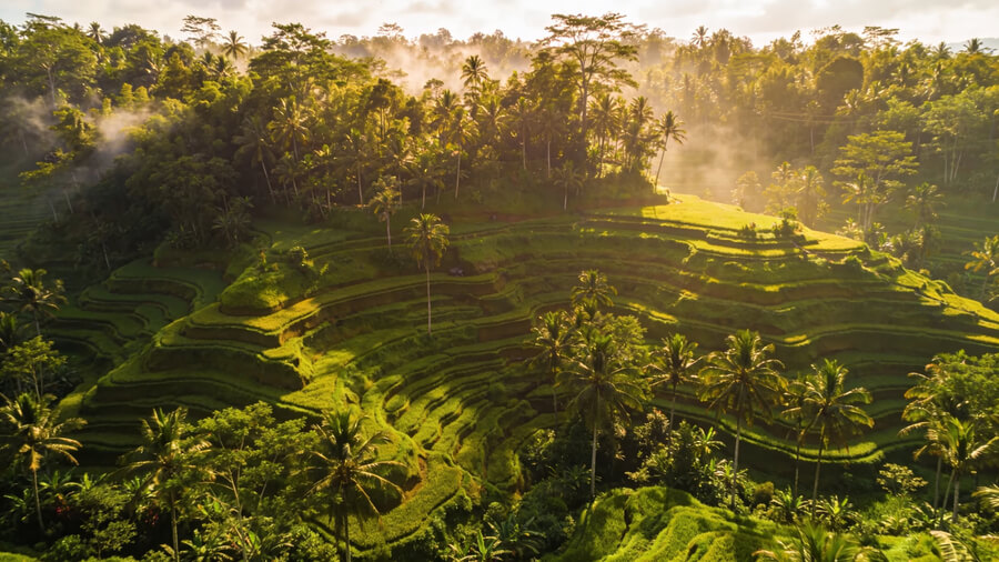 Best Ways to Stay Connected While Travelling in Bali